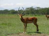 /album/fotogalerie/kena-danek-jpg/